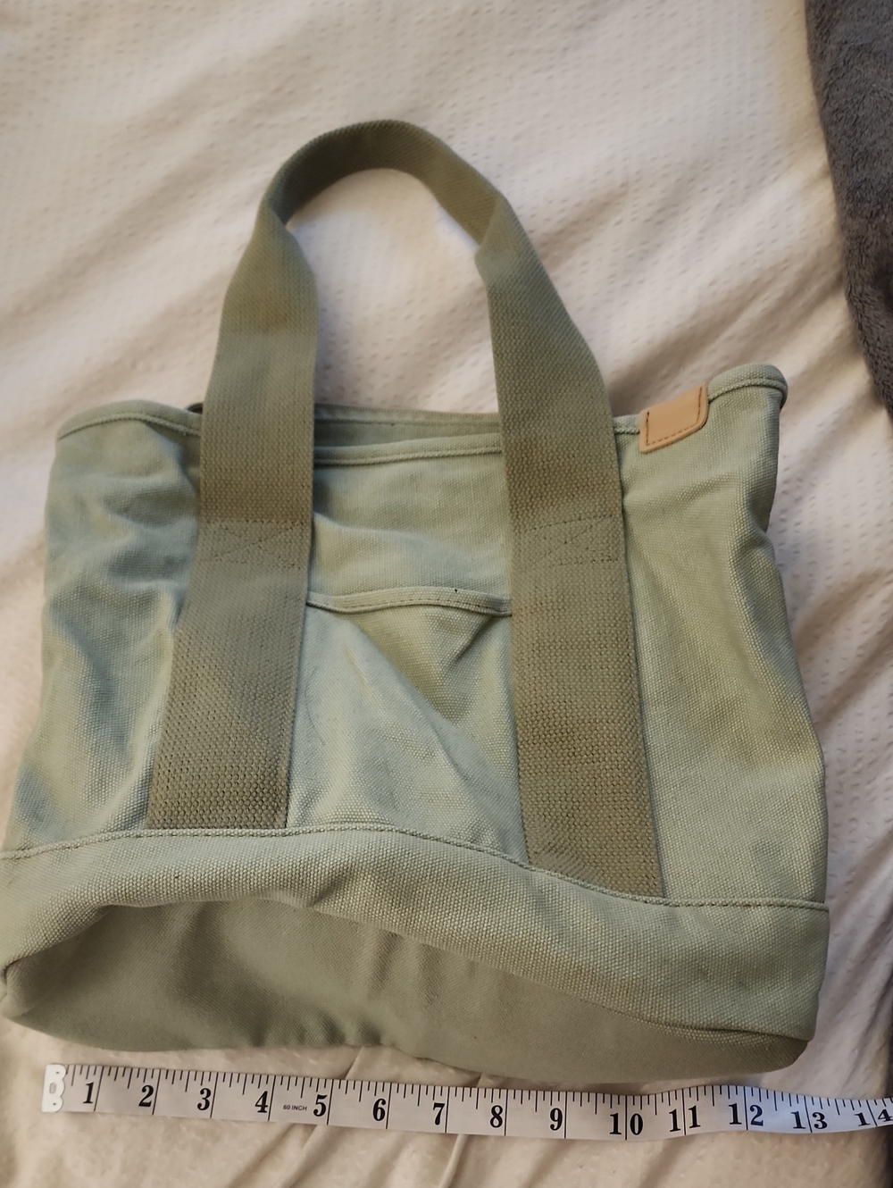 Source Unknown Sage Green Canvas Mini Tote